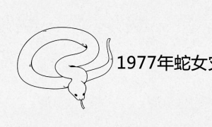 蛇女2023年运势完整版 1977年蛇女2023年运势完整版