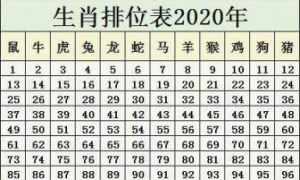 2022年十二生肖排列顺序 2022年十二生肖排列顺序表年龄表