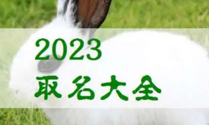 2023兔年男孩起名字大全 2023年兔年男宝宝几月出生好