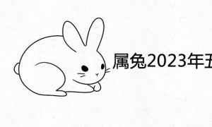 2023的兔是什么命五行属什么 2023年兔五行属什么命