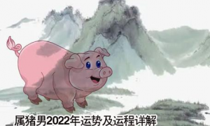 属猪2023年运势老黄历 71年属猪女2023年运程