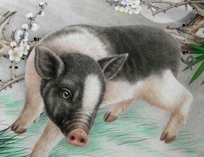 十二生肖生肖猪之人性格特征和改运食谱