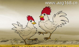 鸡人2020年运势运程 鸡人2020年运势运程每月运程