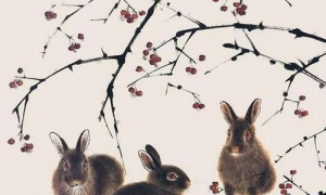 属兔人一生桃花运在多少岁 属兔人的桃花年