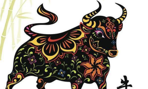生肖水牛的性格和脾气是什么 生肖水牛的性格和脾气是什么意思