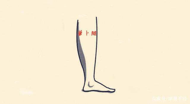 腿部支撑着人的上身,如果一个人的腿型过于瘦削的话,尤其是小腿,这种