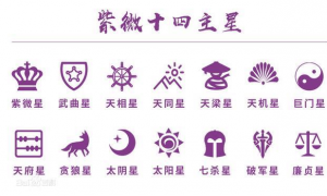 紫微斗数和占星哪个比较准(占星和紫微斗数哪个好)