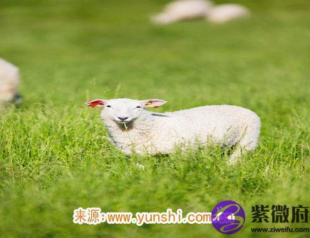 2023年属羊人的财神方位属羊人的财神方位