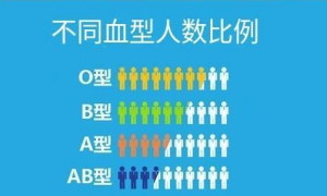 全国血型最少是什么型 中国什么血型少