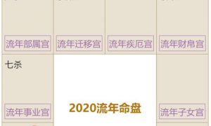 2023年紫微斗数看流年(紫微星2023还是2024出)