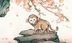 猴68年一生有几次桃花运 68年属猴的一生桃花运