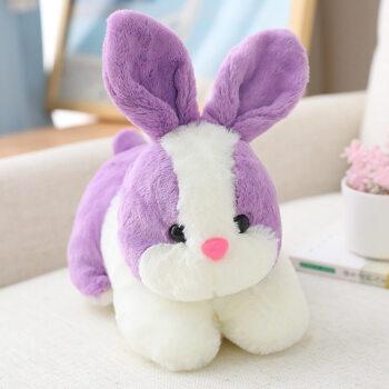 兔子毛绒玩具儿童睡觉安抚玩偶送女生七夕礼物生日礼物紫色长22厘米