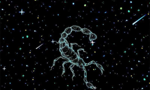 天蝎座永久吉利的数字 能考上清华的五大星座排名