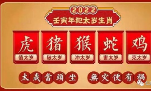 虎年十二生肖运程香港大师 2024香港生肖卡表