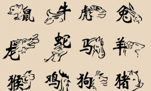 中国古代神话故事十二生肖 中国古代神话故事十二生肖的神奇之处在哪里?