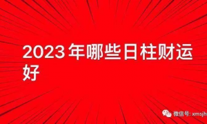 丙辰日柱2023年运气 丙申日柱2021年辛丑年运势
