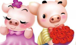 属猪人的婚姻2023配对 男属兔女属猪婚姻相配吗