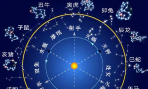 第一星运双子座2023年10月运势十二星座查字典星座(2023十月星座运势查询表)