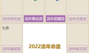 2023年紫微流年排盘(紫微流年盘在线排盘)