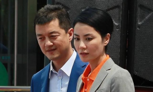 王菲离婚 王菲离婚,记者采访谢庭锋