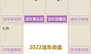 2023年紫微流年 2023年紫微流年夫妻宫