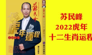 麦玲玲2023年生肖龙(苏民峰2023年生肖运程视频)