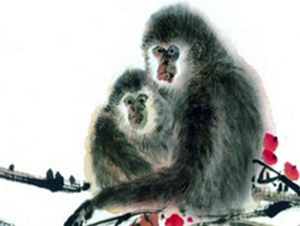 属猴人注意出生在1956年68年属猴人鸿运当头赶快接福
