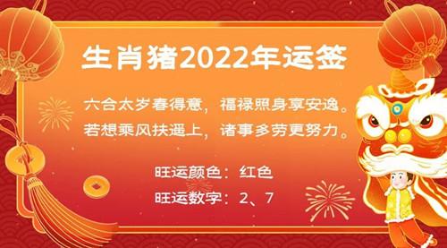 2023年属猪全年运势 生肖猪2023年运势大全_老黄历网