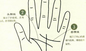 有重大疾病的人的手相图解(手相能看出哪些疾病)