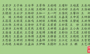 汉字谐音起名男孩名字有哪些 汉字谐音起名男孩名字有哪些含义