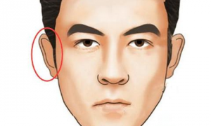 两个耳朵大的男人面相分析 两个耳朵不一样大小在面相里属于?